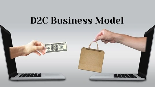 D2C Business Model